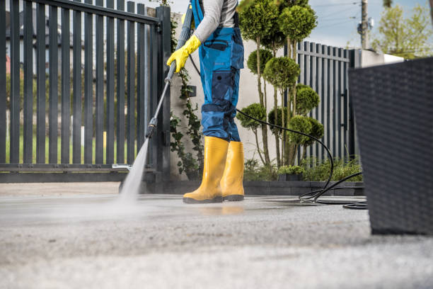 Best Roof Cleaning and Mildew Removal in Bohners Lake, WI
